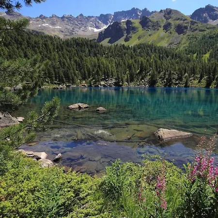 Poschiavo Maiensaess Auf 1400m * Le Prese