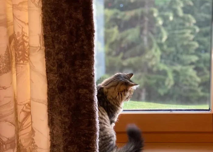Poschiavo Maiensaess Auf 1400m Le Prese