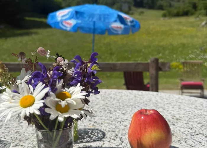 Poschiavo Maiensaess Auf 1400m * Le Prese